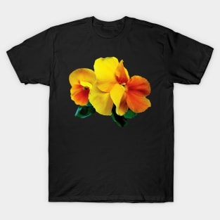 Pansies - Bright Yellow and Orange Pansies T-Shirt